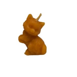 Katze